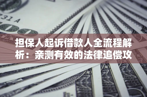 济南担保人起诉借款人全流程解析：亲测有效的法律追偿攻略