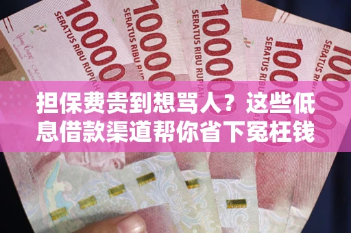 济南担保费贵到想骂人？这些低息借款渠道帮你省下冤枉钱