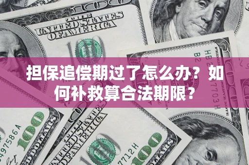 济南担保追偿期过了怎么办？如何补救算合法期限？