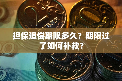 济南担保追偿期限多久？期限过了如何补救？
