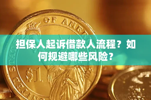 济南担保人起诉借款人流程？如何规避哪些风险？