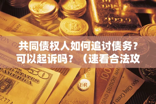 济南共同债权人如何追讨债务？可以起诉吗？（速看合法攻略）