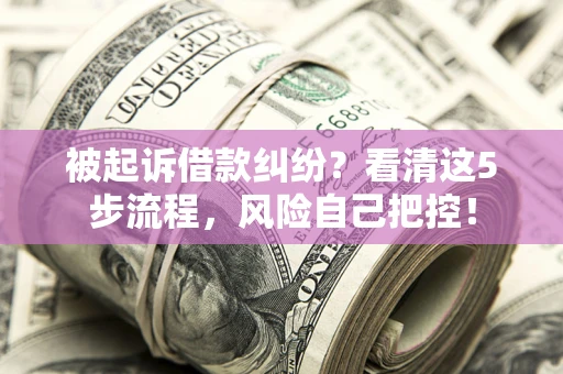 济南被起诉借款纠纷？看清这5步流程，风险自己把控！
